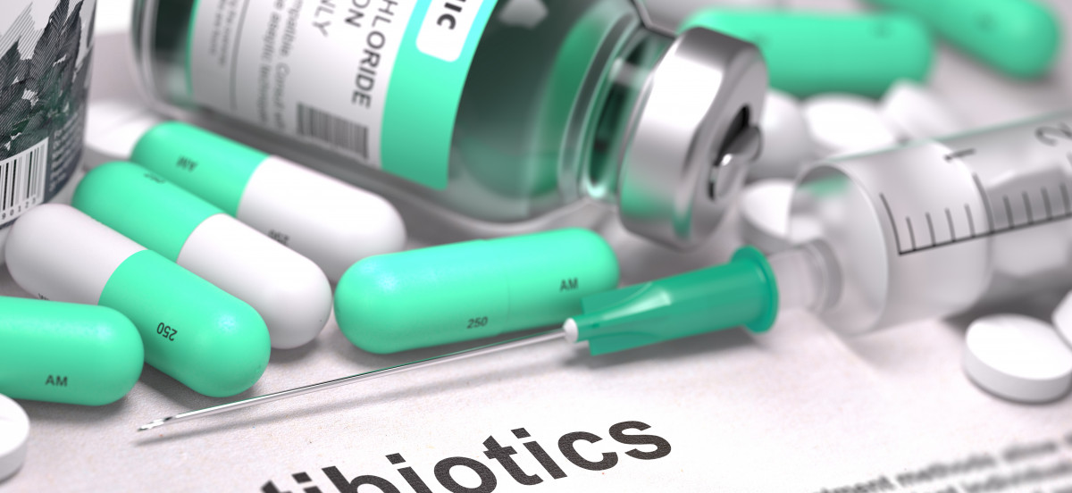 PATHOGENS: THE PROBLEM OF ANTIMICROBIAL RESISTANCE (AMR)